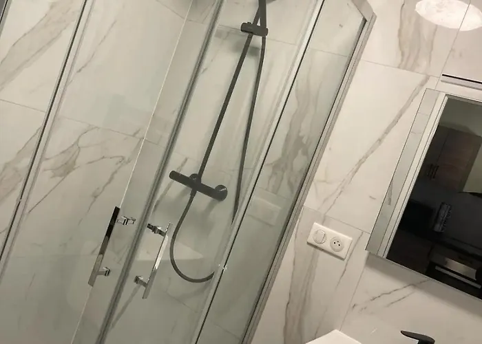 公寓 Le Charles Iii : Elegance Et Serenite 南锡